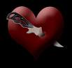 le coeur d'amadou